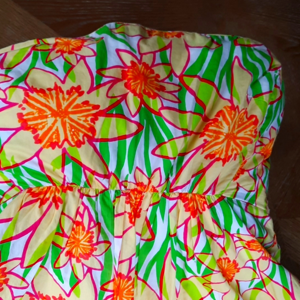 Lilly Pulitzer dress